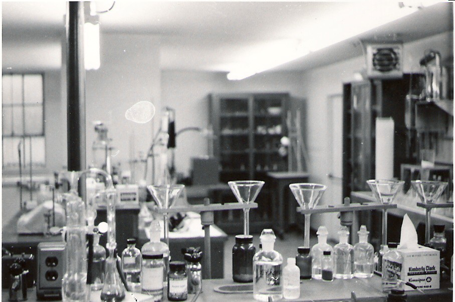 lab