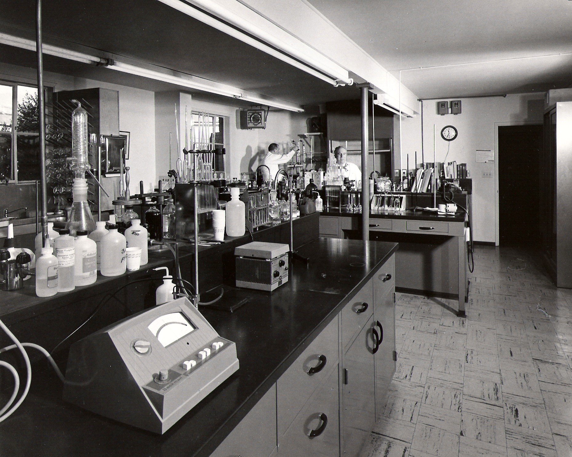 lab